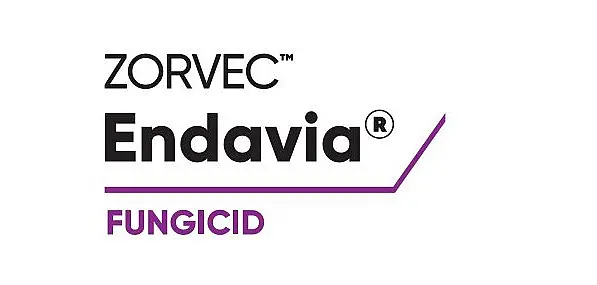 Zorvec Endavia