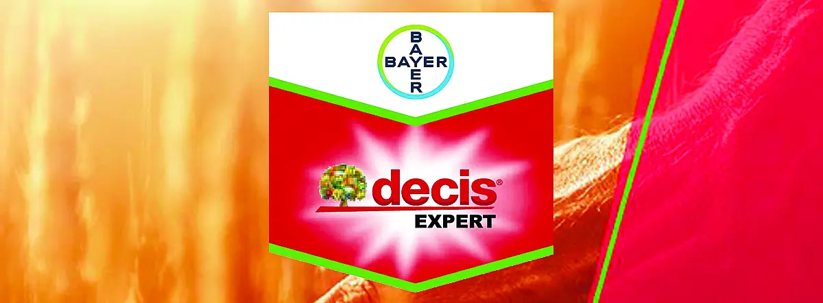 Decis Expert 100 EC