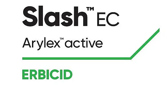 Slash EC