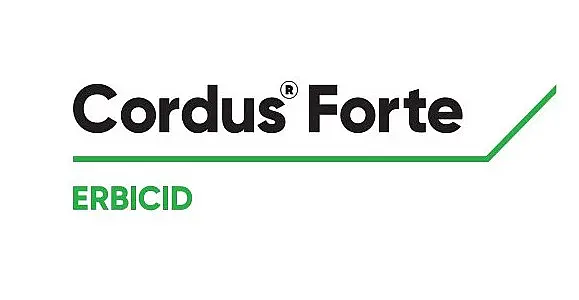 Cordus Forte