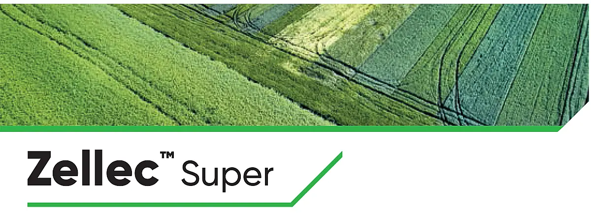 Zellek Super