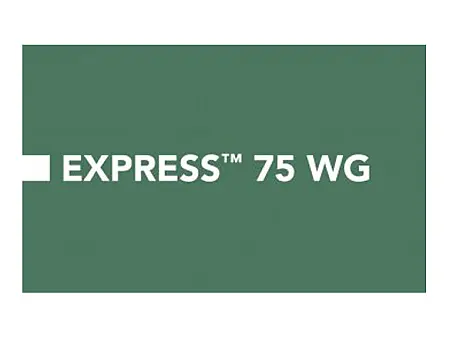 alt_Express 75 WG