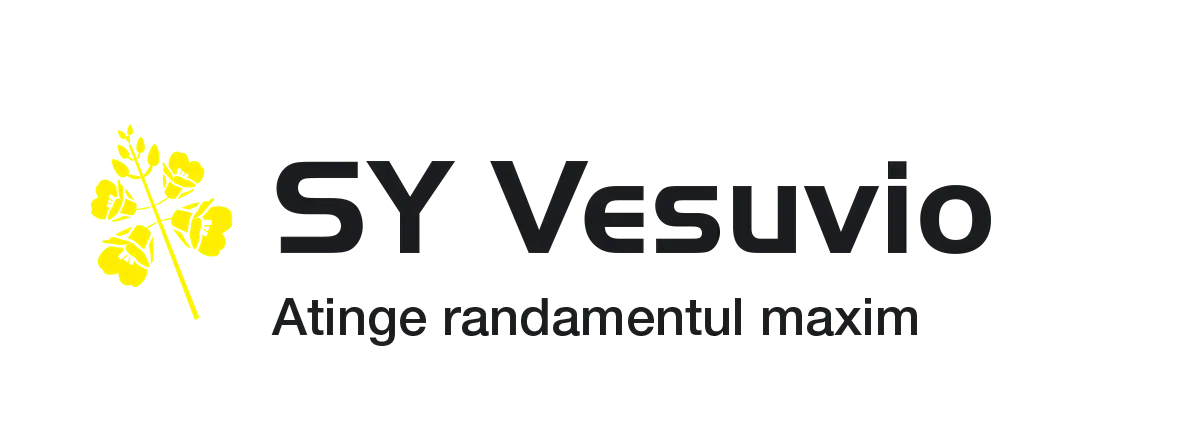 SY Vesuvio