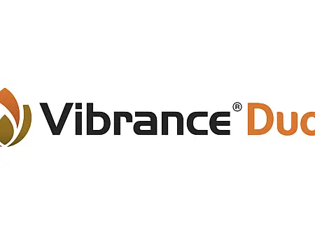 alt_Vibrance Duo