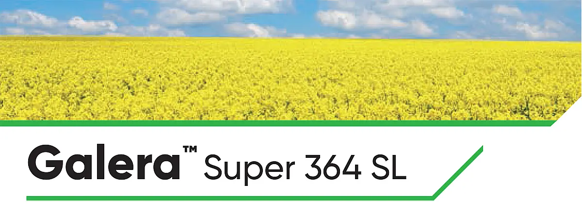 Galera Super 346 SL