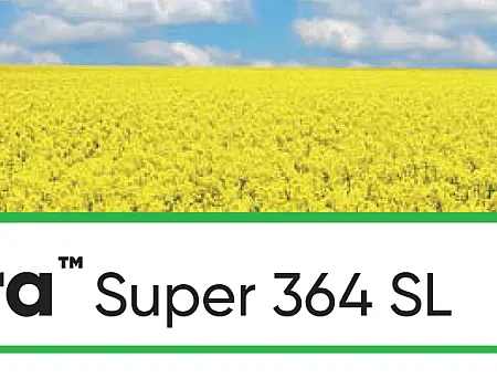 alt_Galera Super 346 SL
