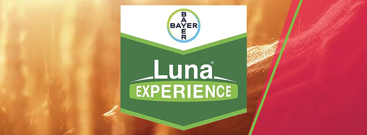 Luna Experience 400 SC
