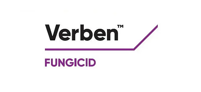Verben