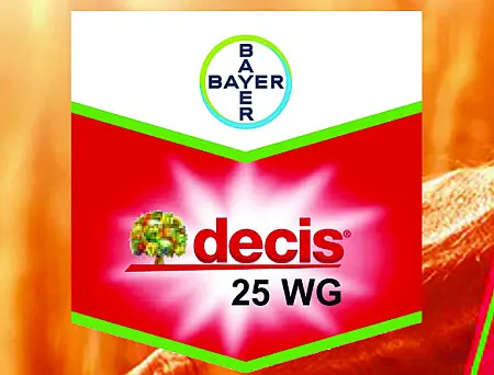 alt_Decis f - Luxx 025 EC