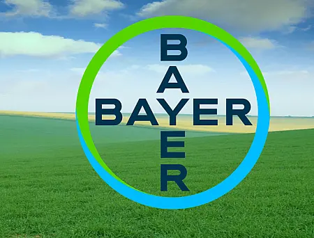 alt_Bayer