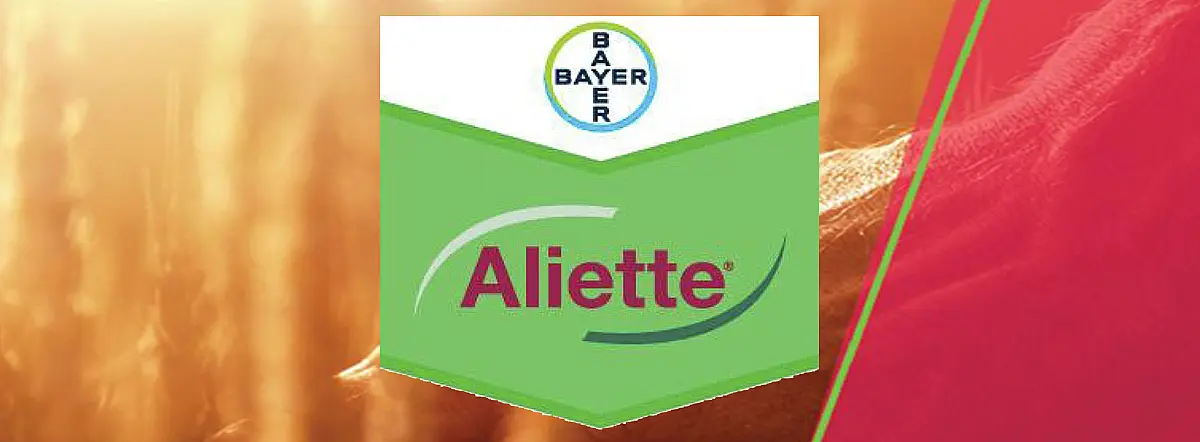 Aliette 80 WG