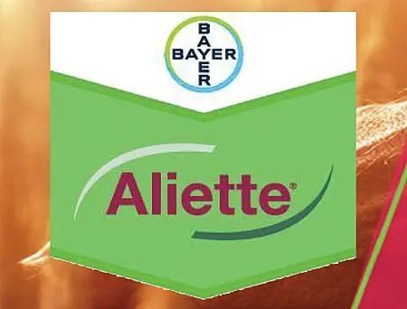 alt_Aliette 80 WG