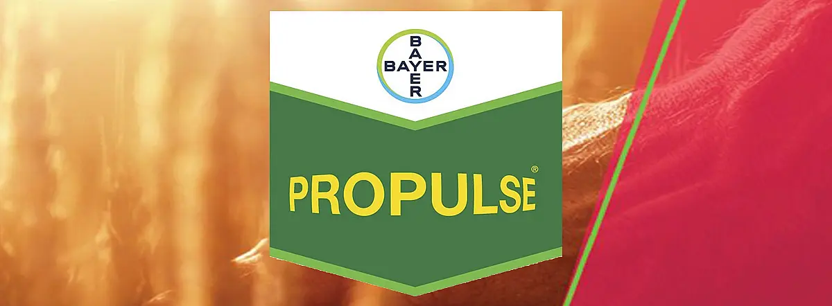 Propulse SE 250