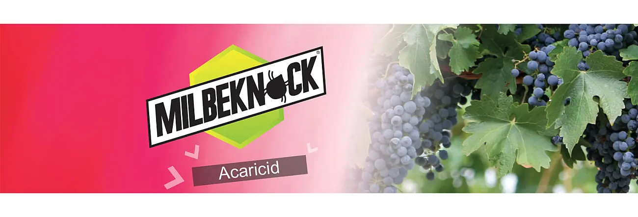 Milbeknock EC