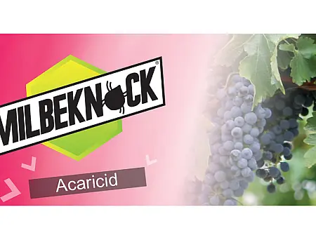 alt_Milbeknock EC