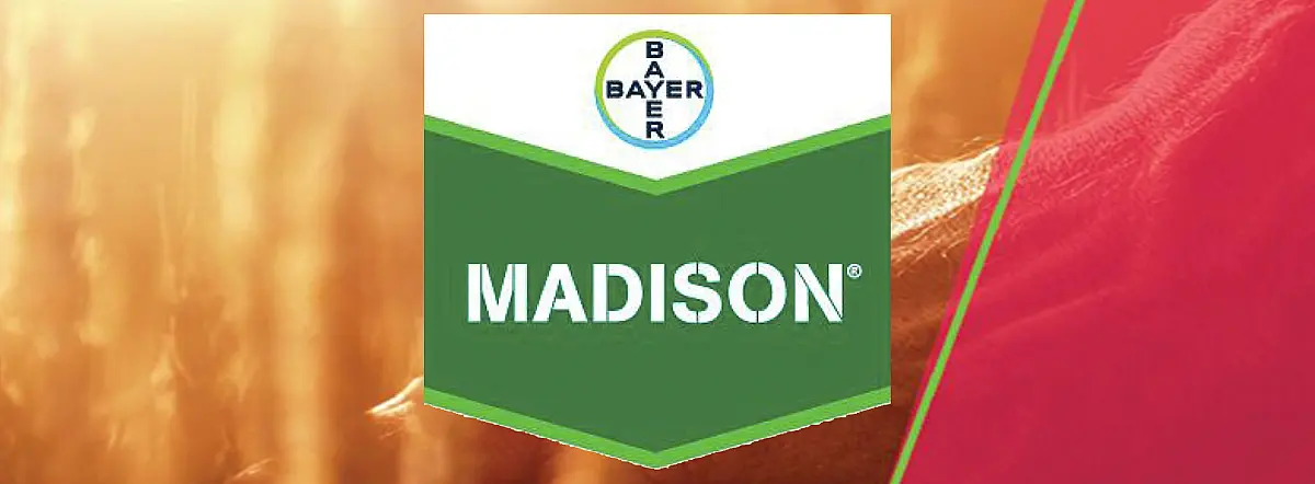 Madison 263 SC