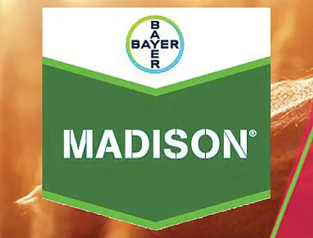 alt_Madison 263 SC