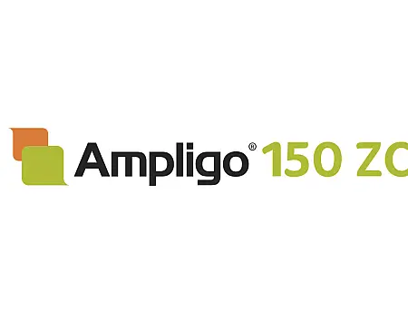 alt_Ampligo 150 ZK