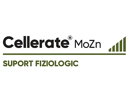 alt_Cellerate MoZn