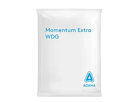 alt_Momentum Extra WDG