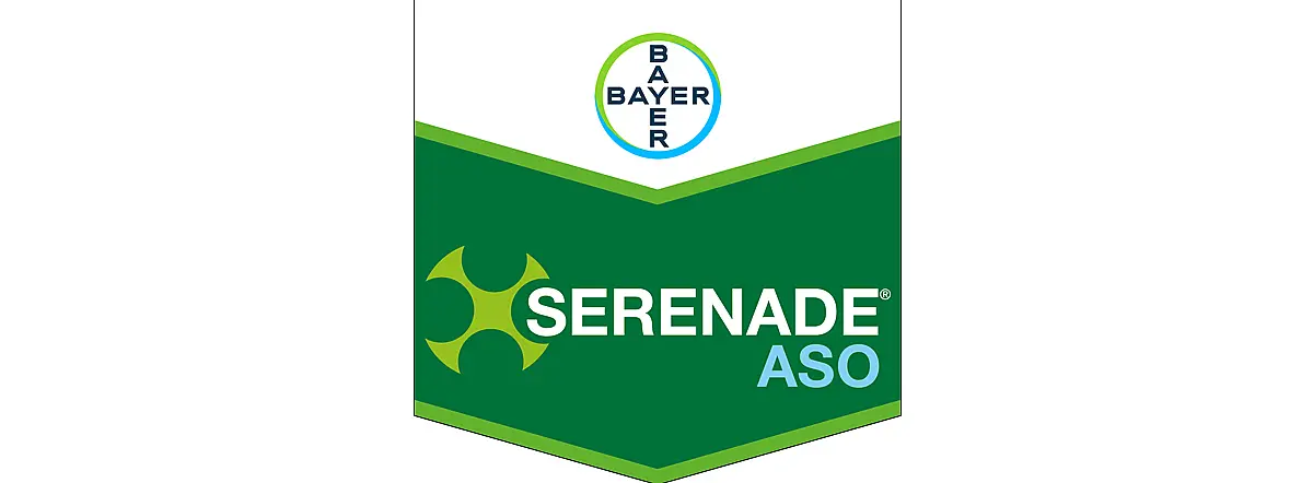 Serenade ASO