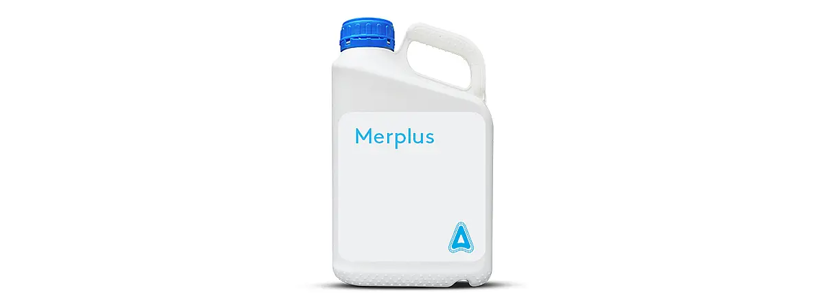 Merplus