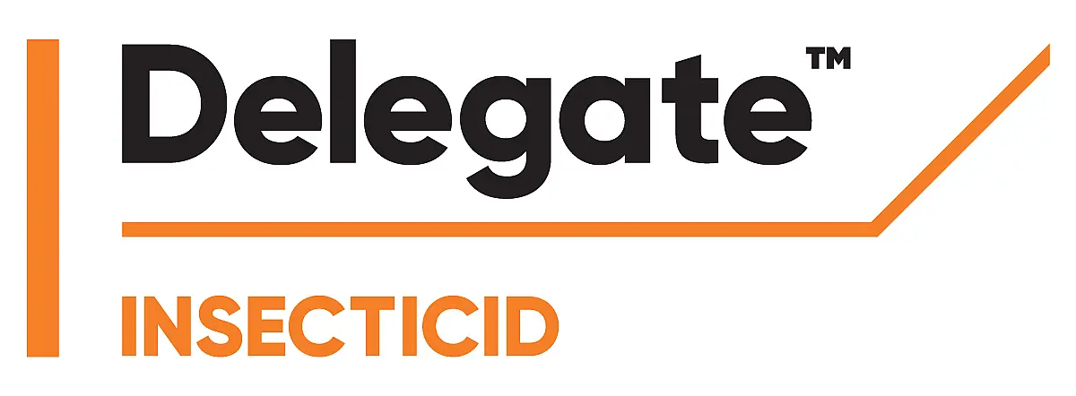 Delegate