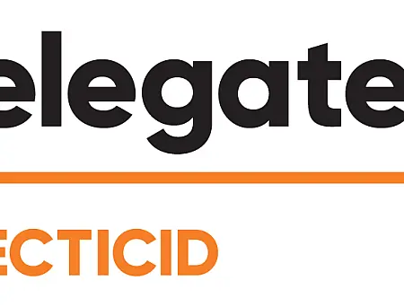 alt_Delegate