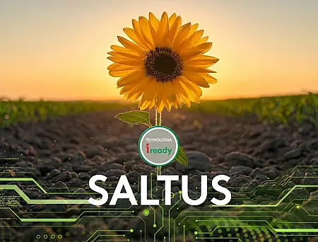 alt_Saltus 80 SL
