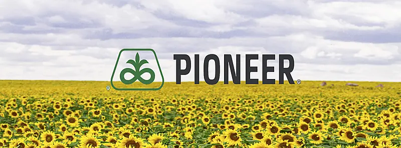 Pioneer