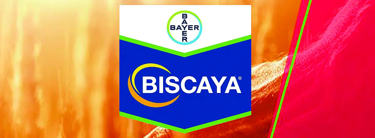 Biscaya OD 240