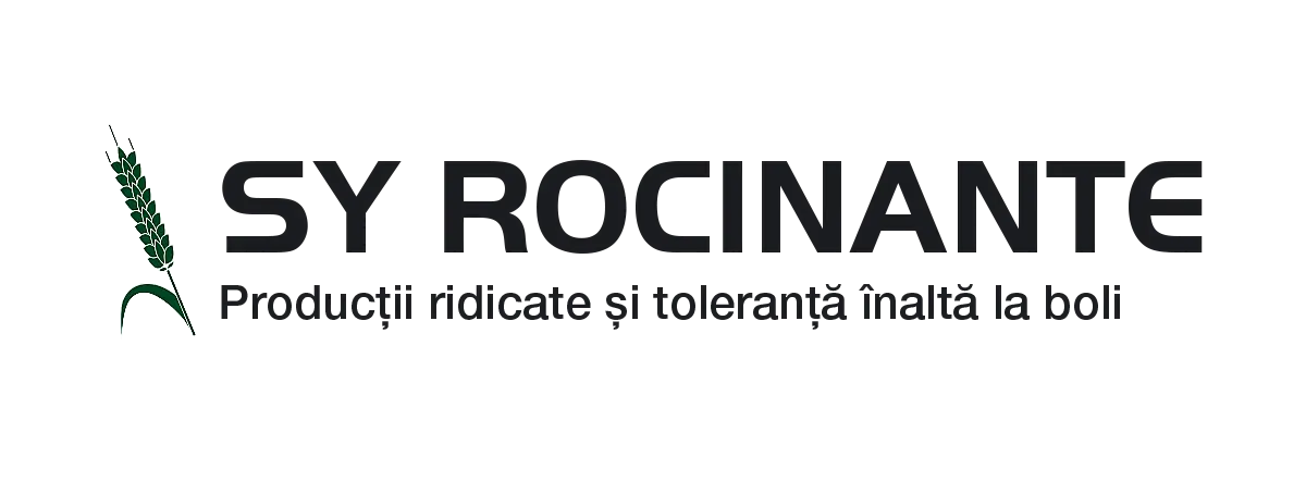 SY Rocinante