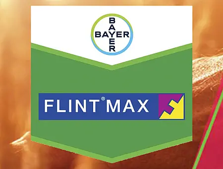 alt_Flint Max 75 WG