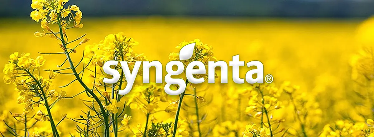 Syngenta