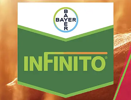 alt_Infinito 687,5 SC