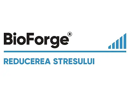 alt_BioForge