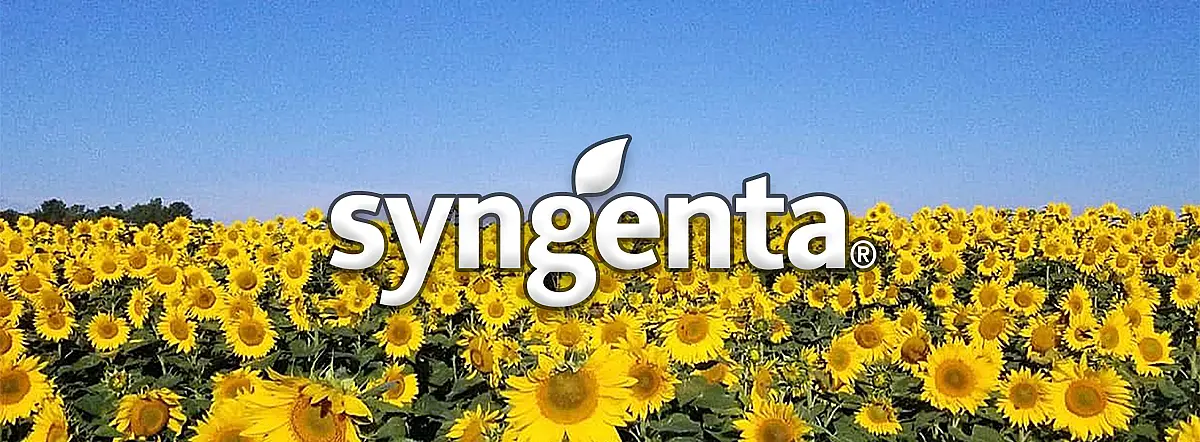 Syngenta
