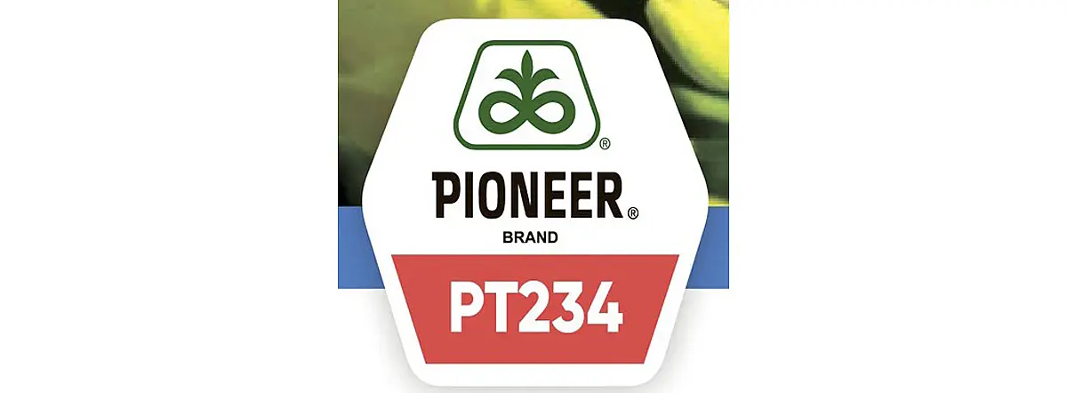 PIONEER PT234