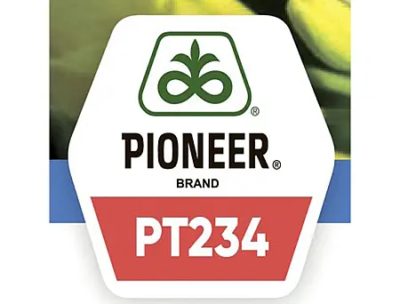 alt_PIONEER PT234