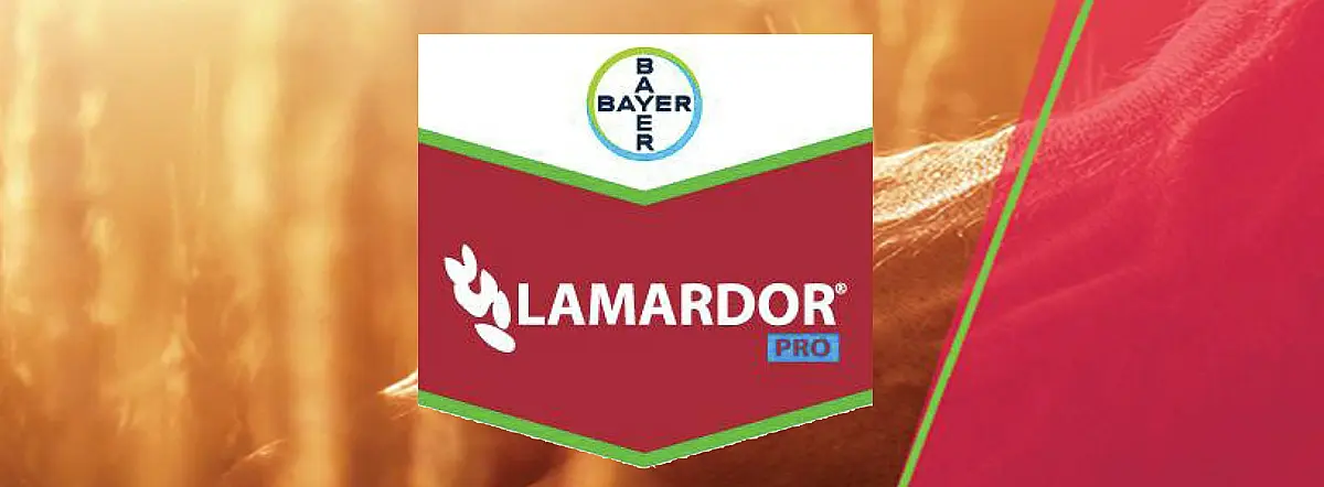 Lamardor Pro FS 180