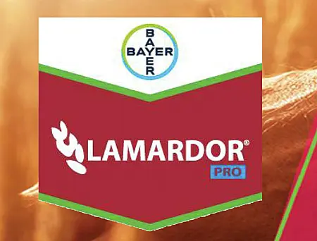 alt_Lamardor Pro FS 180