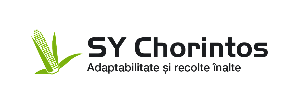 SY Chorintos