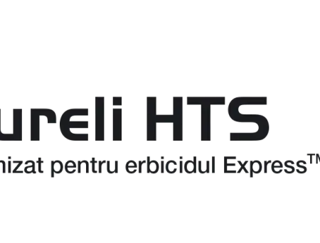 alt_Sureli HTS - NOU