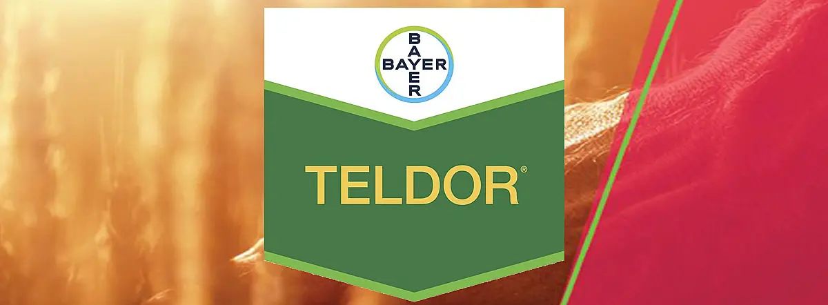 Teldor 50 SC