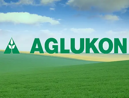 alt_Aglukon