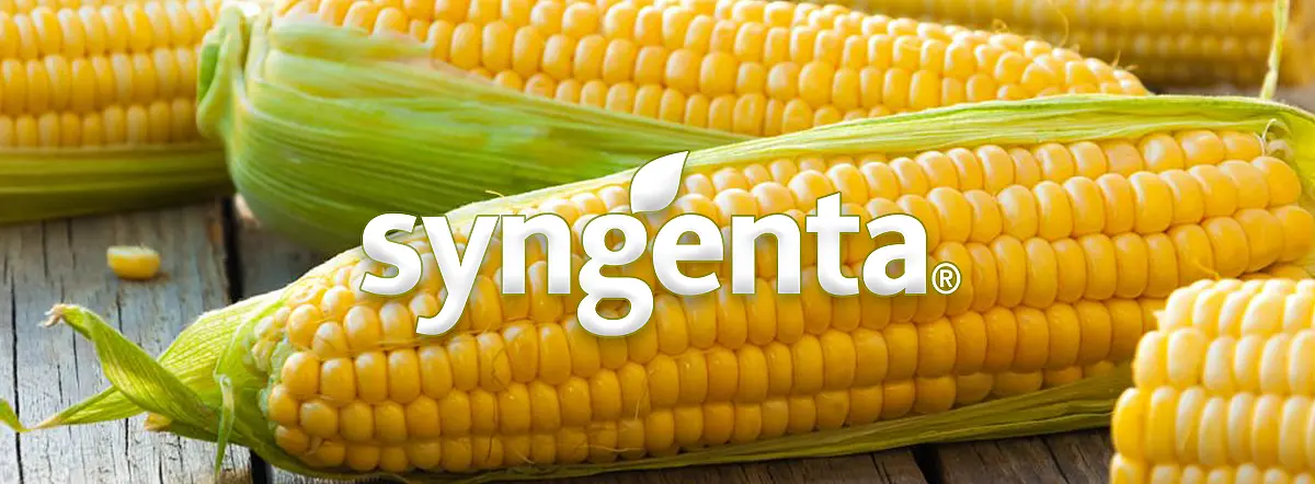 Syngenta