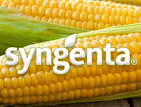 alt_Syngenta