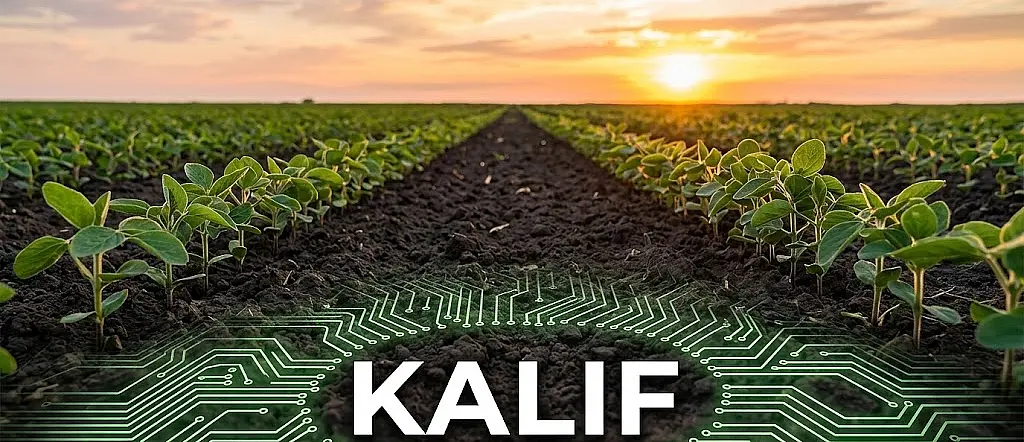 Kalif 360 CS