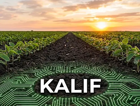 alt_Kalif 360 CS
