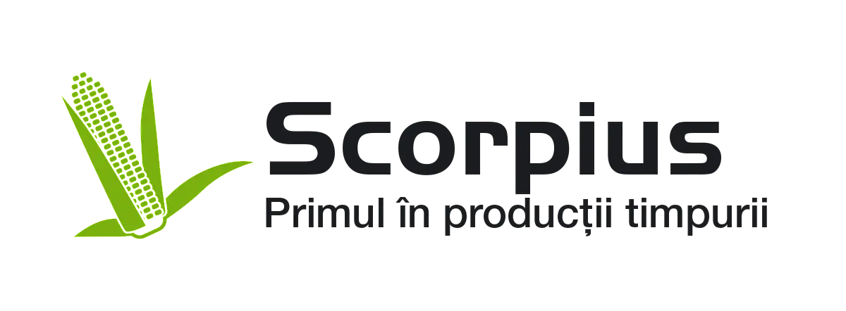 SY Scorpius
